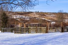 Cochrane Ranch