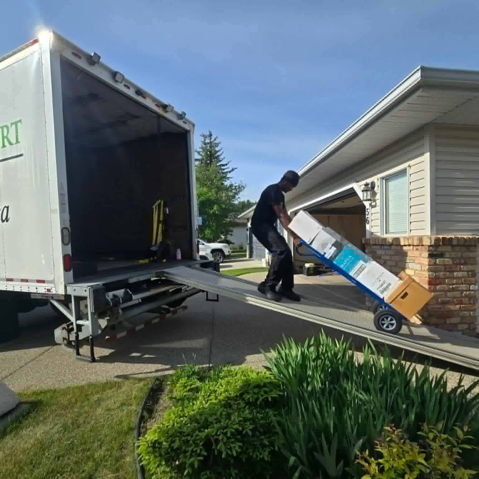 Book a Summer Move